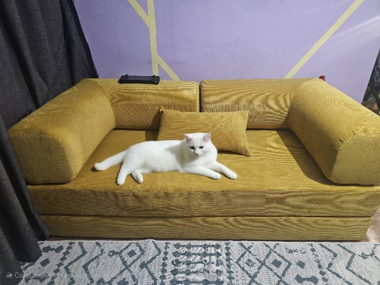 Фотография покупателя: Бескаркасный диван TEDDI, 200х100 см, обивка вельвет, желтый