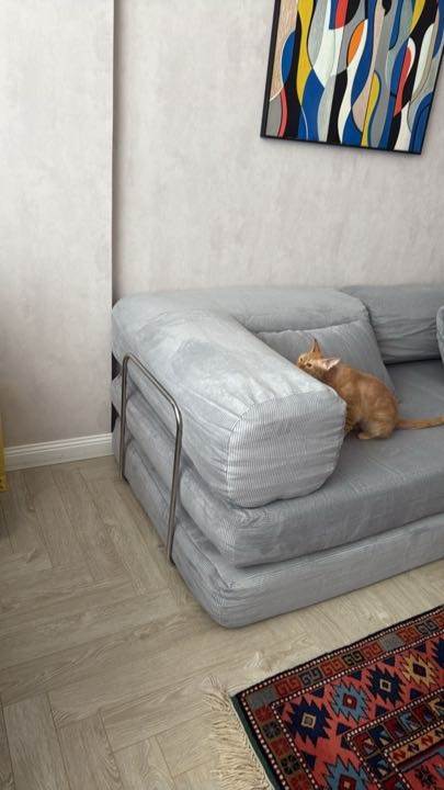 Фотография покупателя: Диван TEDDI, 200х100 см, обивка вельвет, светло серый