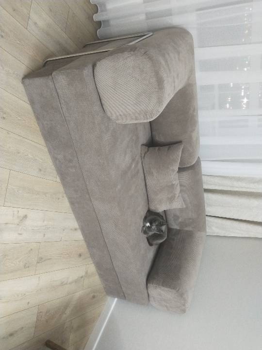Фотография покупателя: Диван TEDDI, 200х100 см, обивка вельвет, светло-коричневый