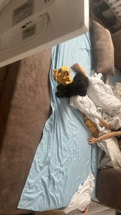Фотография покупателя: Диван TEDDI, 200х100 см, обивка вельвет, светло-коричневый