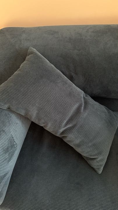 Фотография покупателя: Диван TEDDI, 200х100 см, обивка вельвет, темно-синий