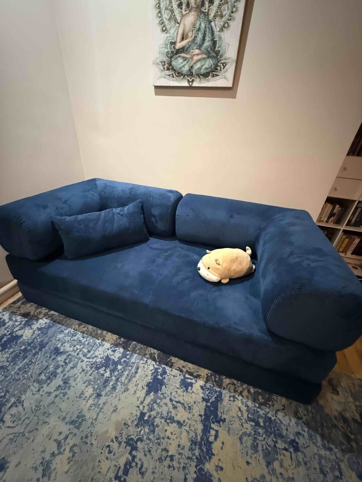 Фотография покупателя: Диван TEDDI, 200х100 см, обивка вельвет, темно-синий