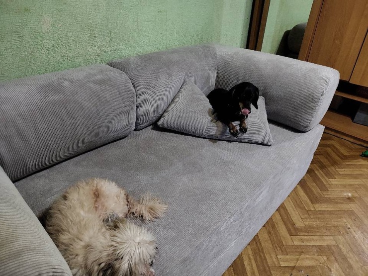 Фотография покупателя: Диван TEDDI, 200х100 см, обивка вельвет, бежевый
