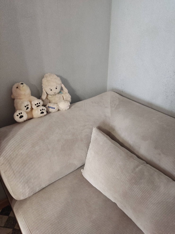 Фотография покупателя: Диван TEDDI, 200х100 см, обивка вельвет, бежевый