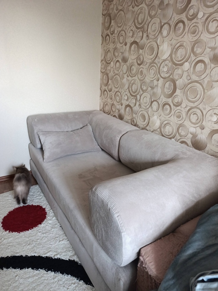 Фотография покупателя: Диван TEDDI, 200х100 см, обивка вельвет, бежевый