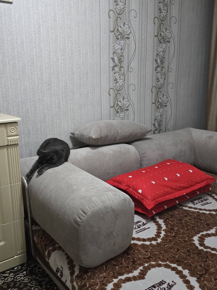 Фотография покупателя: Диван TEDDI, 200х100 см, обивка вельвет, бежевый