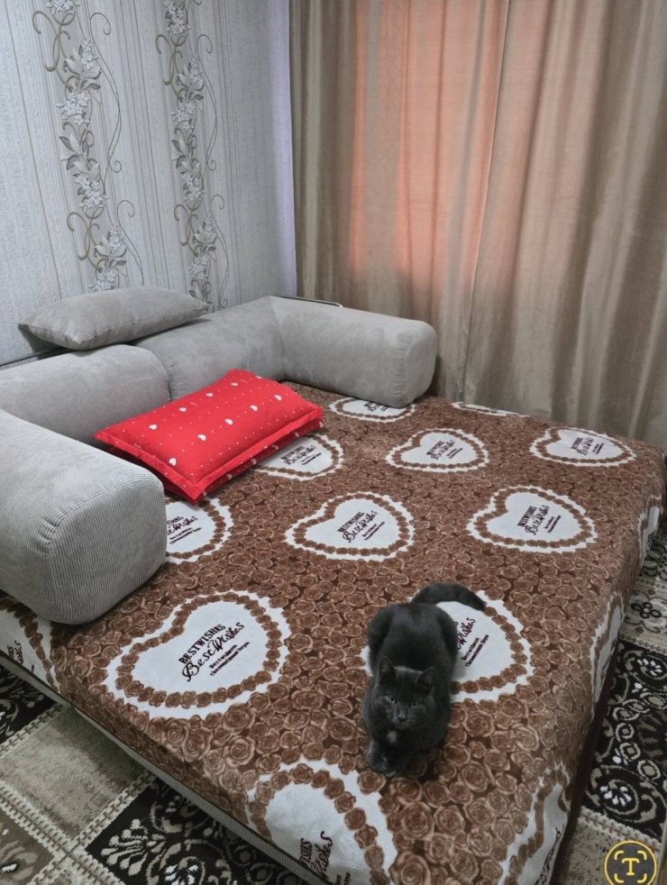 Фотография покупателя: Диван TEDDI, 200х100 см, обивка вельвет, бежевый