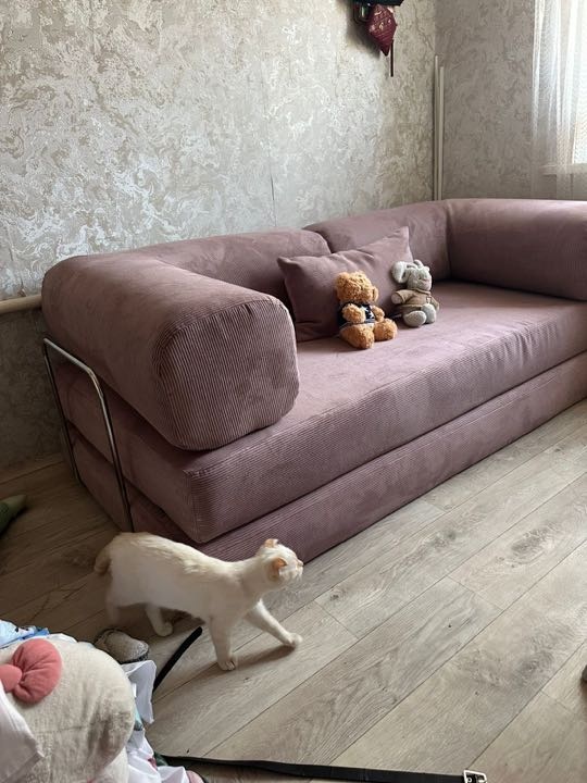 Фотография покупателя: Диван TEDDI, 200х100 см, обивка вельвет, розовый